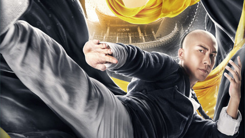 The Grandmaster of Kung Fu