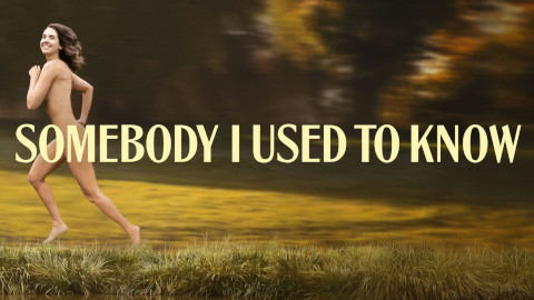 Somebody I Used To Know