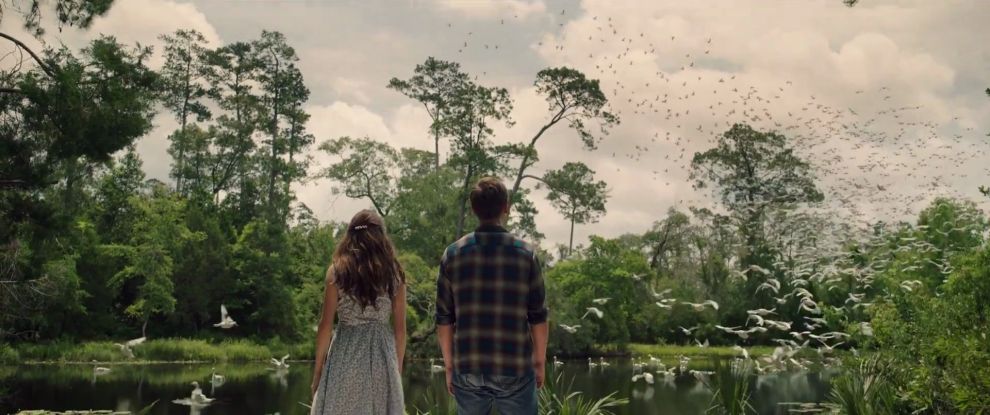 Djevojka iz močvare