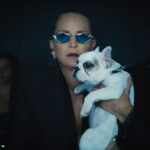 NOBODY 2 Sharon Stone