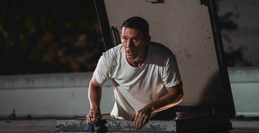 Lopov s krova - Roofman